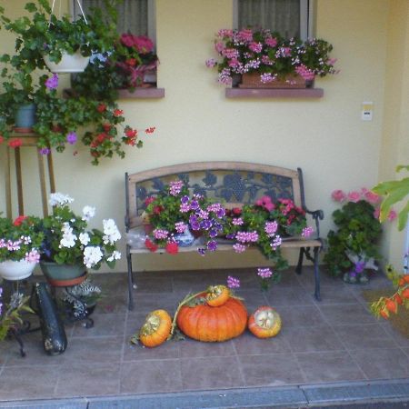 Chez Josephine Bed & Breakfast Metting Exterior photo