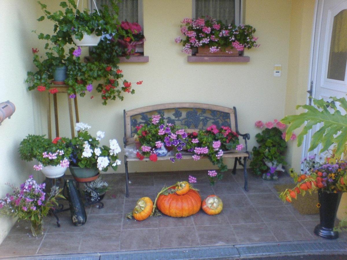 Chez Josephine Bed & Breakfast Metting Exterior photo