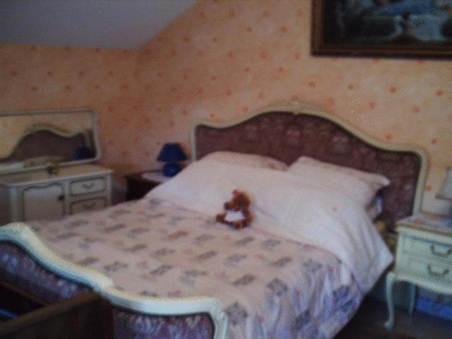 Chez Josephine Bed & Breakfast Metting Room photo
